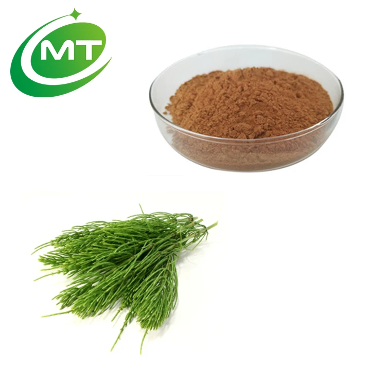 Organic 2%Silica acid Horsetail Herb Extract Powder in shampoo for hair