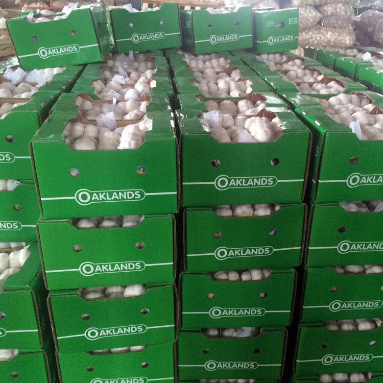 Top grade high quality fresh snow white garlic super white 3P 4P 5P 6Pin carton small package boxed factory price white garlic