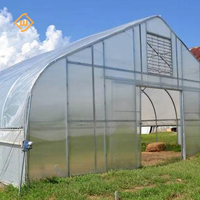 Best-selling galvanized steel structure ventilation system single-span greenhouse for growing tomatoes