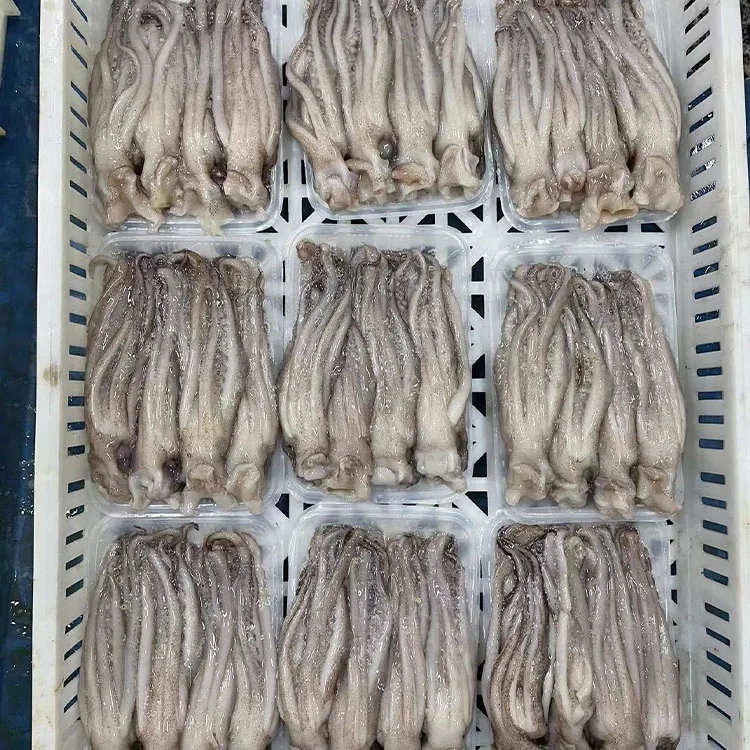 Frozen Dosidicus illex boston Squid Tentacle