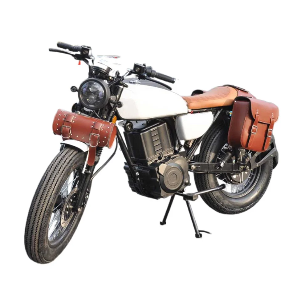 17 Inch Hub Motor Electric Cross Motorcycle Trade