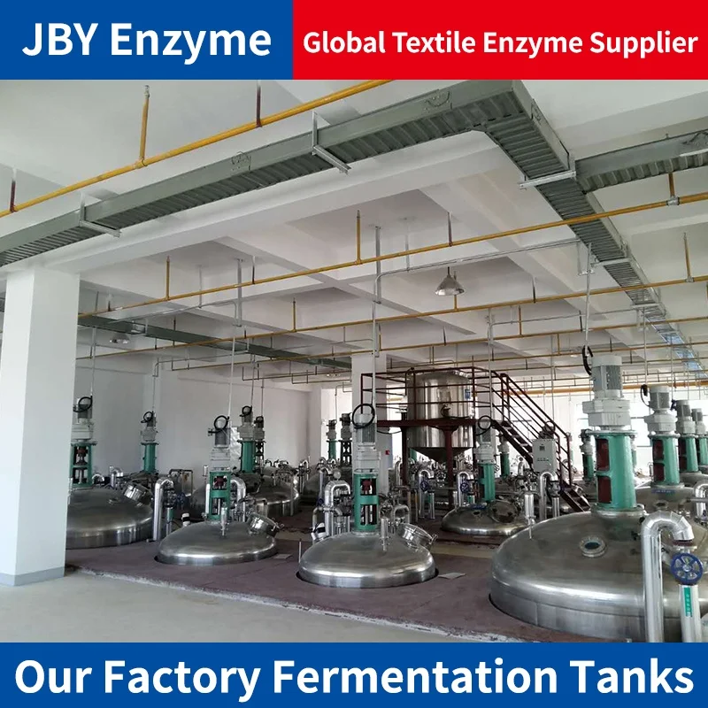 textile enzyme amylase liquid fabric enzymatic hydrolysis corn starch bio washing desizing agent process alpha amylase