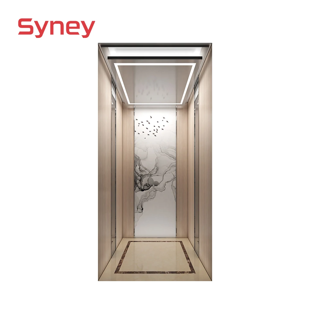 Syney Superior Quality Stable	Home Elevator Residential