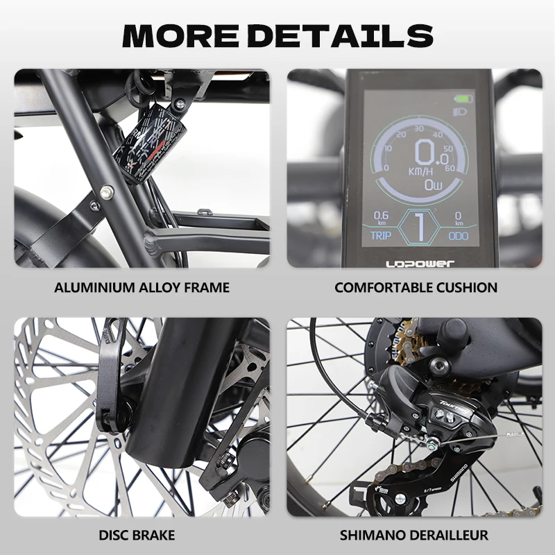 1000W fashion removable battery good quality powerful electric bicycle double seat