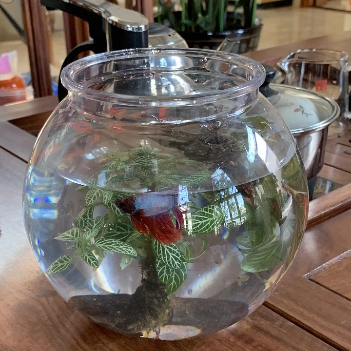 Round Plastic Fish Tank Round Clear Plastic Fish Aquarium