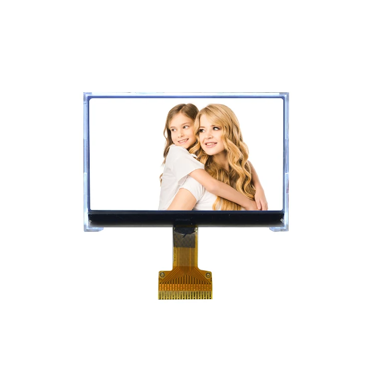 Factory Price Monochrome Graphic Lcd Monitor 128x64 Lcd Gear Module