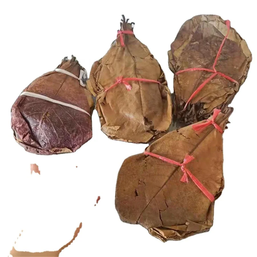 clear purity betta fish tank water aquarium India dry indian almond leaves