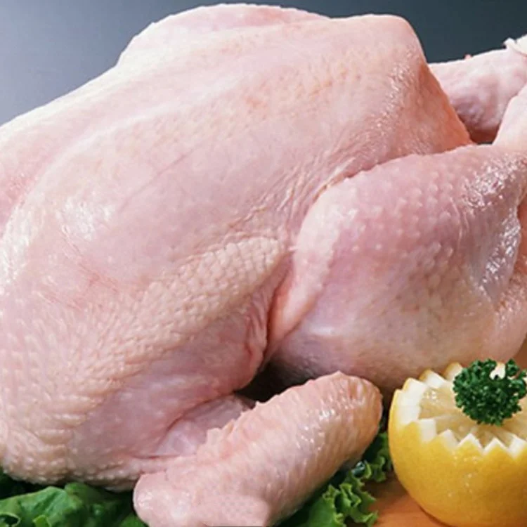 Broiler Feed Chicken Poultry Broiler Fattening Feed Additives