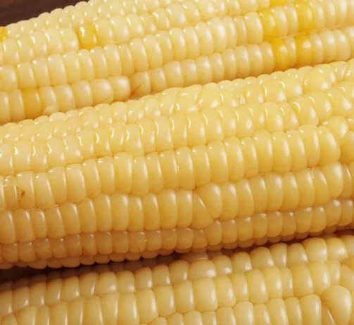 Wholesale supplier factory frozen corn OEM corn snacks  popular product white corn