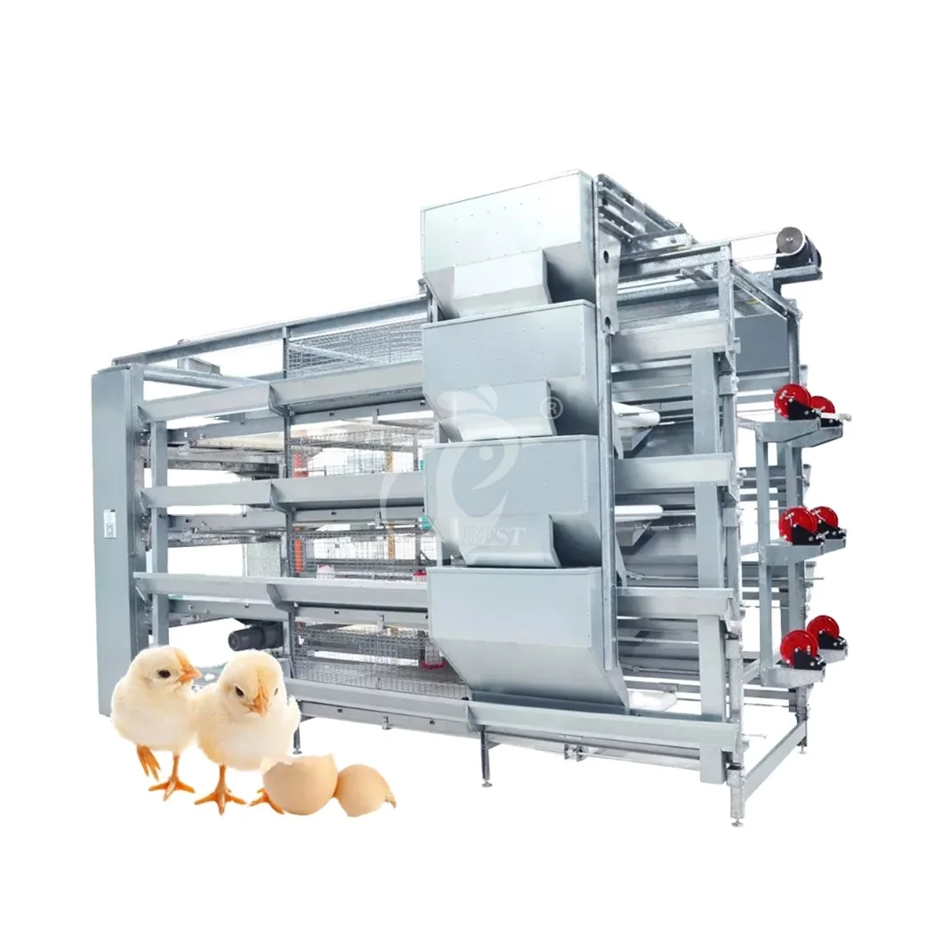 China Sturdy Spacious Baby Chick Cage H Type Automatic Pullet Cage 2.0mm Thick Waterproof Wooden Pullet Chicken Coop