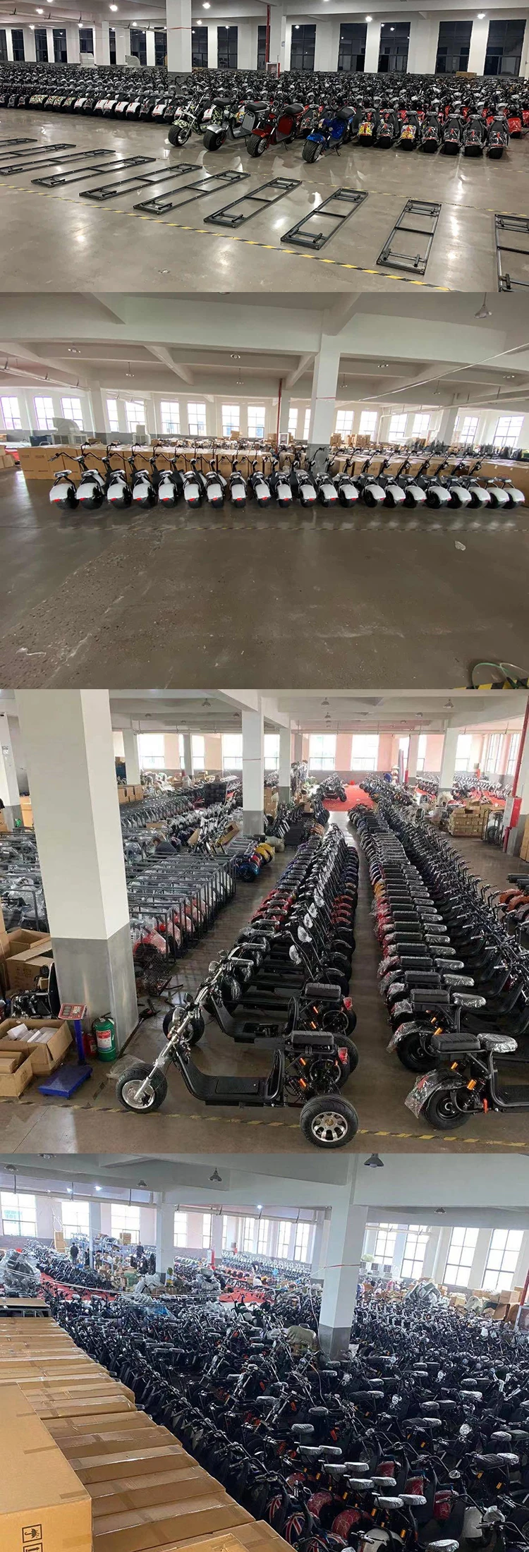 Packing and loading 1.jpg