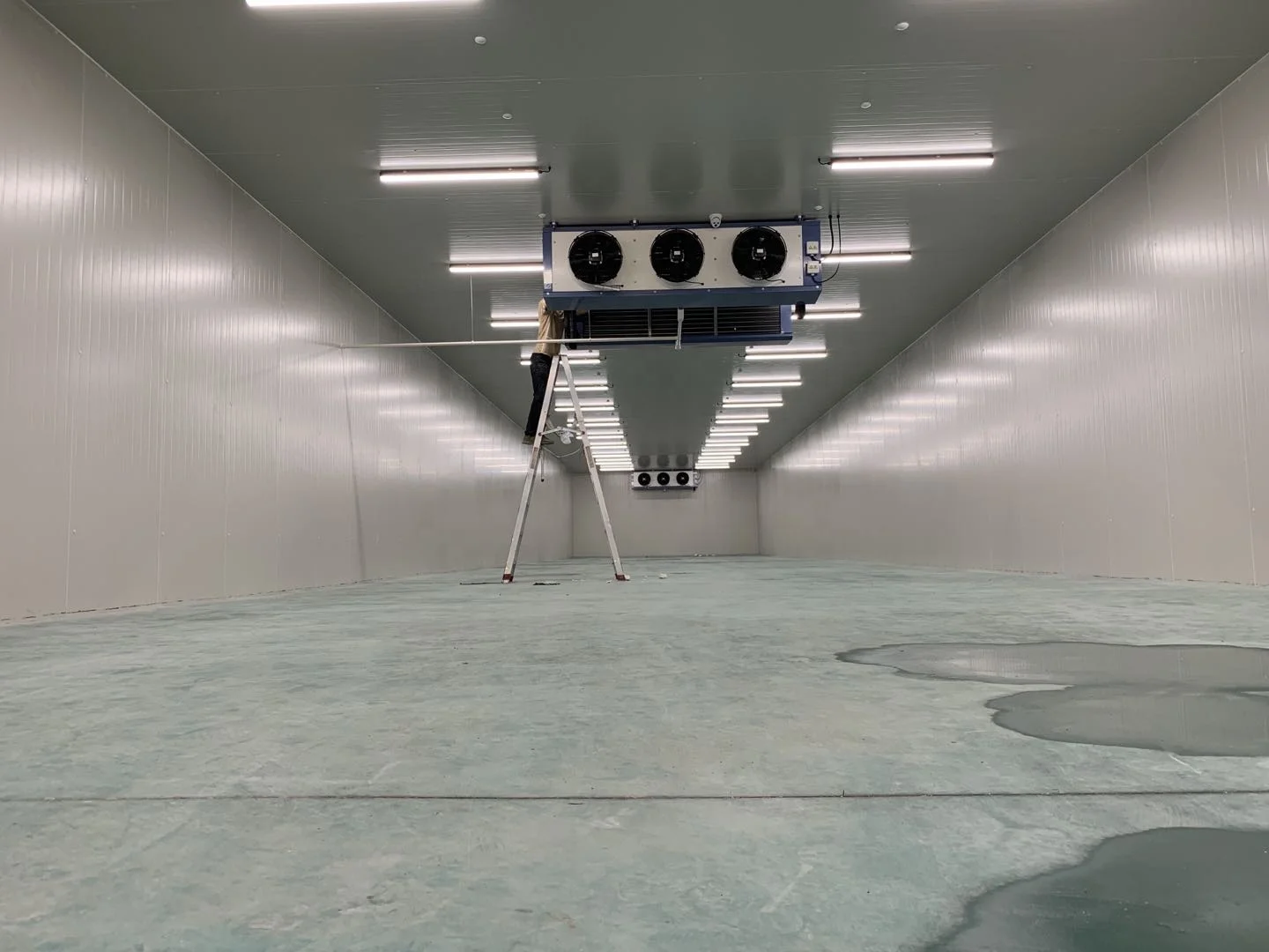 RUIXUE commercial blast freezer customized cold room with panels and door