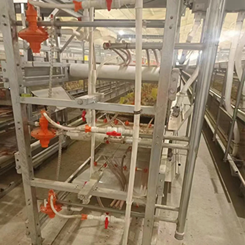 H type chicken cage broiler raising cages for keeping chicken layers