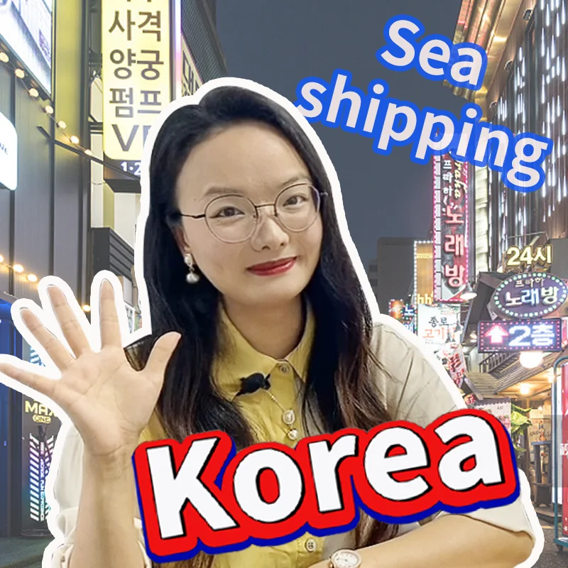 Sea Air Cargo Busan Ocean Freight Logistics Services Shipping Agent in International Singapore Price From Korea Usa