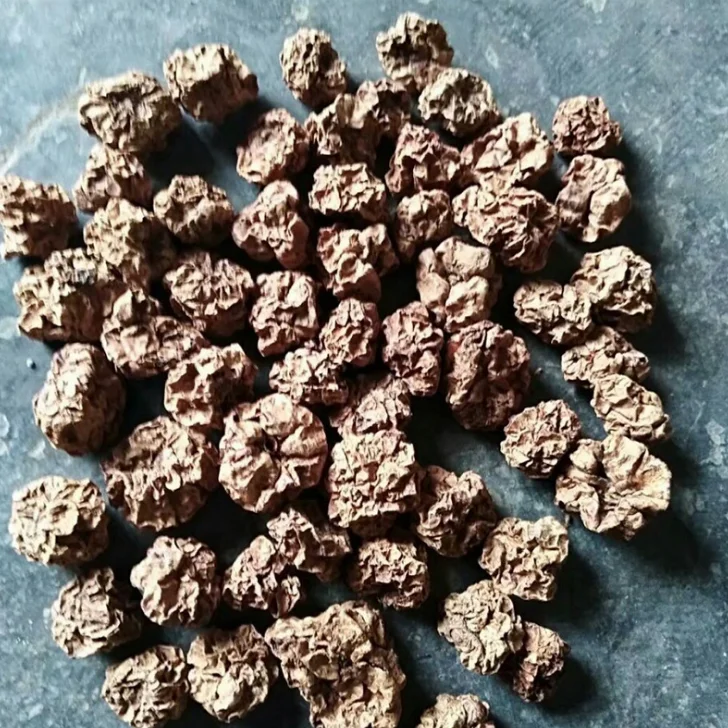 100% Органическая сушеная актинидия полигамная насекомое желчный натуральный корм для кошек с высоким содержанием белка