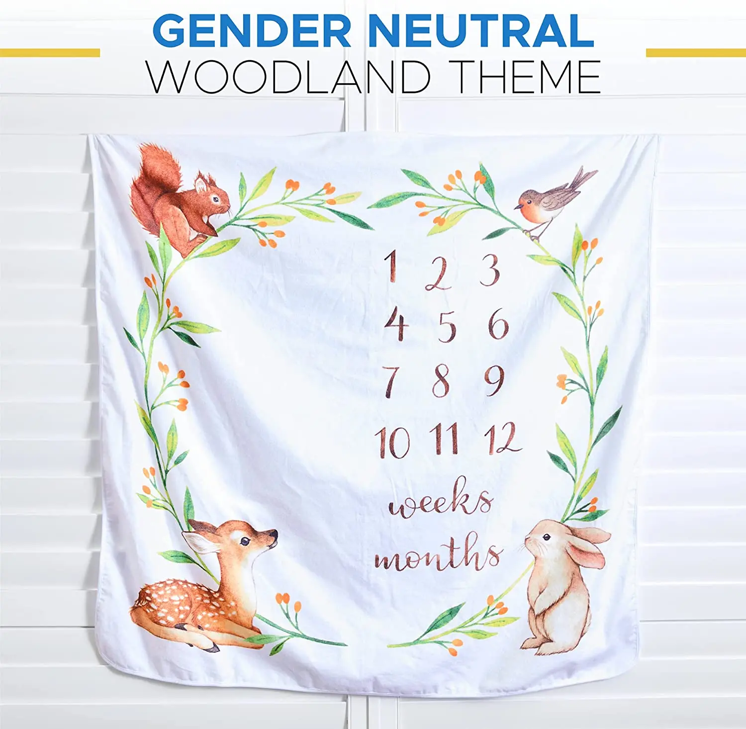 Factory Price Manufacturer Supplier Milestone Blankets Baby Shower Blanket Baby Age Chart Blanket