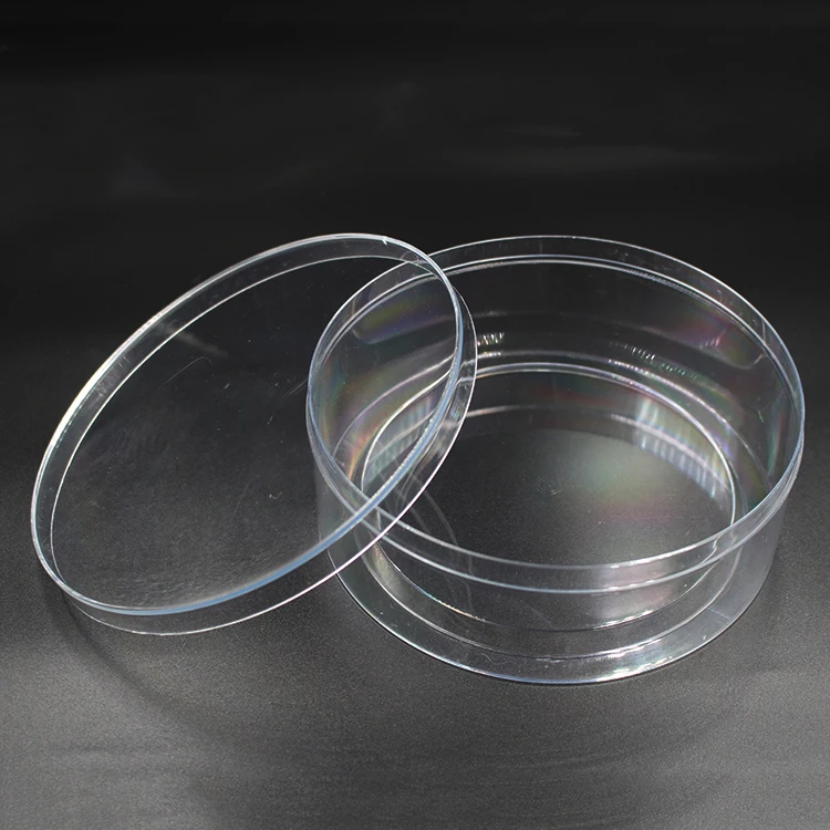 Plastic cake Container ransparentfood packaging plastic acrylic packaging box