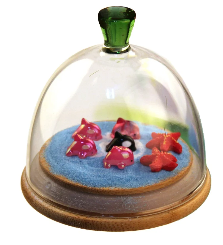 Clear Glass Display Dome Micro Landscape  flowers in dome glass Preserved Wooden Base