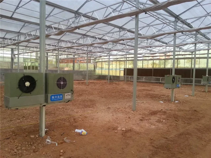 Glass/Polycarbonate Sheet Greenhouse As Ecological Restaurant