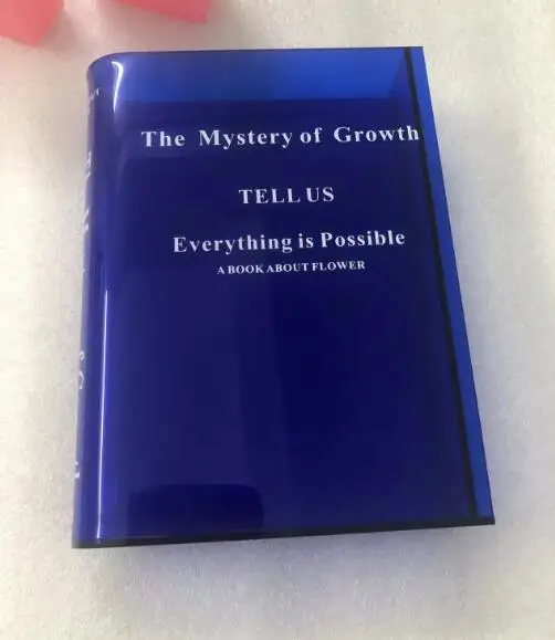 Clear Flower Box Bouquet Creative Fashion Design  Acrylic Vase Holder