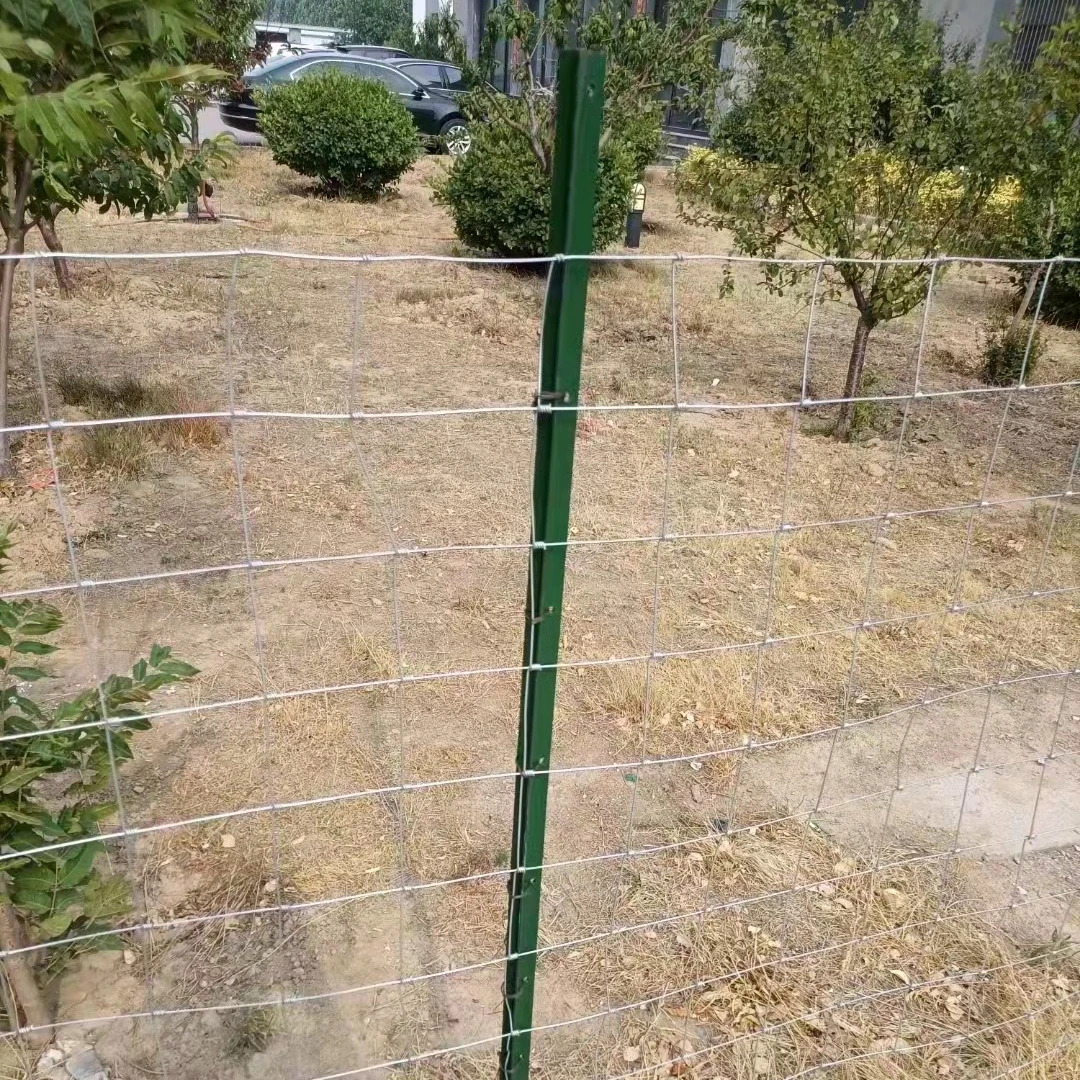 Оптовая продажа с завода оцинкованная ограда для крупного рогатого скота 5-8 футов защита от ржавчины ограждение из цепей