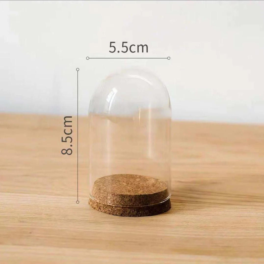 Wholesale Handmade Clear Transparent High Borosilicate Flower Glass Dome with Wooden Base