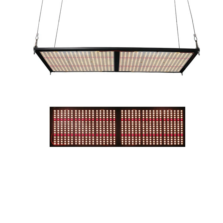 
Dimmable Indoor Plant Grow LED Light, 120W 240W 320W 480W UV IR Board LM301H LM301B QB288 V2 V3 Board 240w Led Grow Light 
