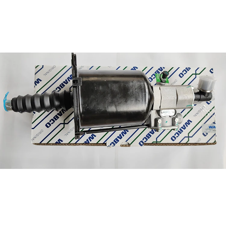 IMG_20210817_104300 .jpg