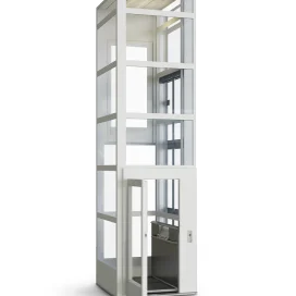 FUJIZY China Home Elevator  Synchronous Steel Stainless Item  for old people VVVF system