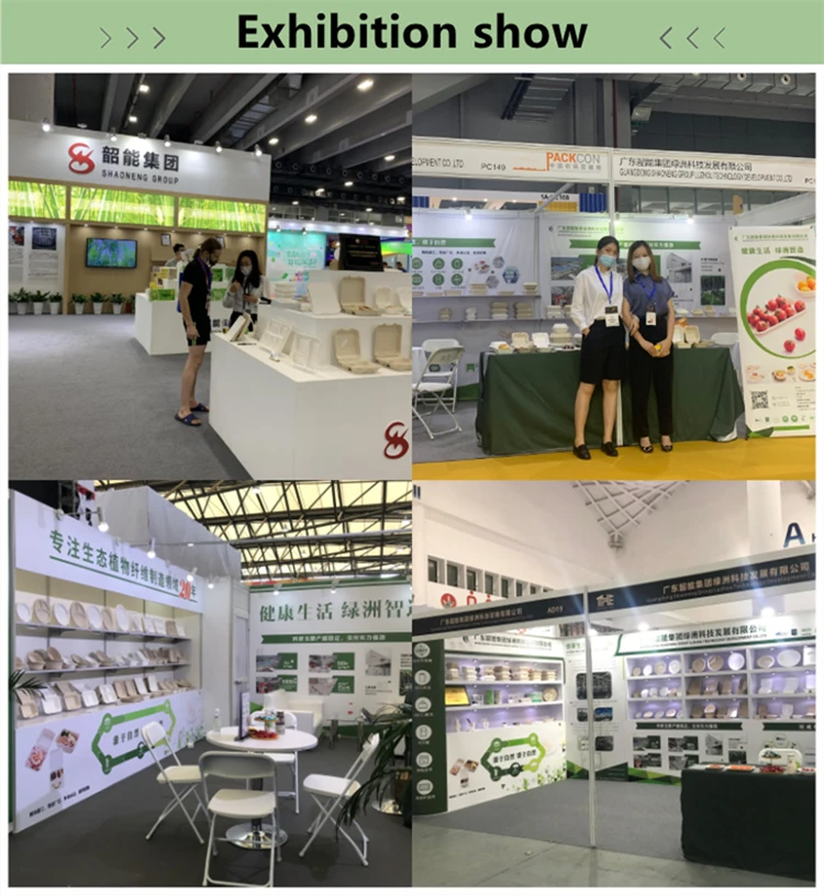 Good Quality Biodegradable Food Trays  Bagasse Disposable Supermarket Fruit Tray Paper