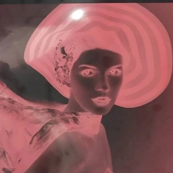 laser digital photografic printing plate