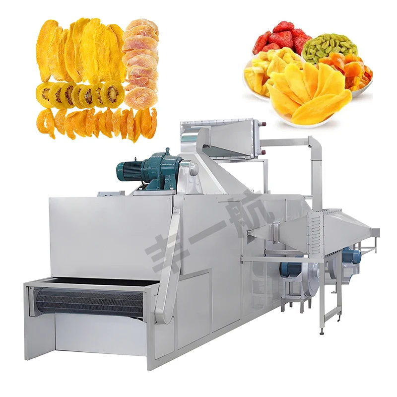Large Capacity DW Series Fruit Apple Banana Dryer Automatic Continuous Belt Drying Machine