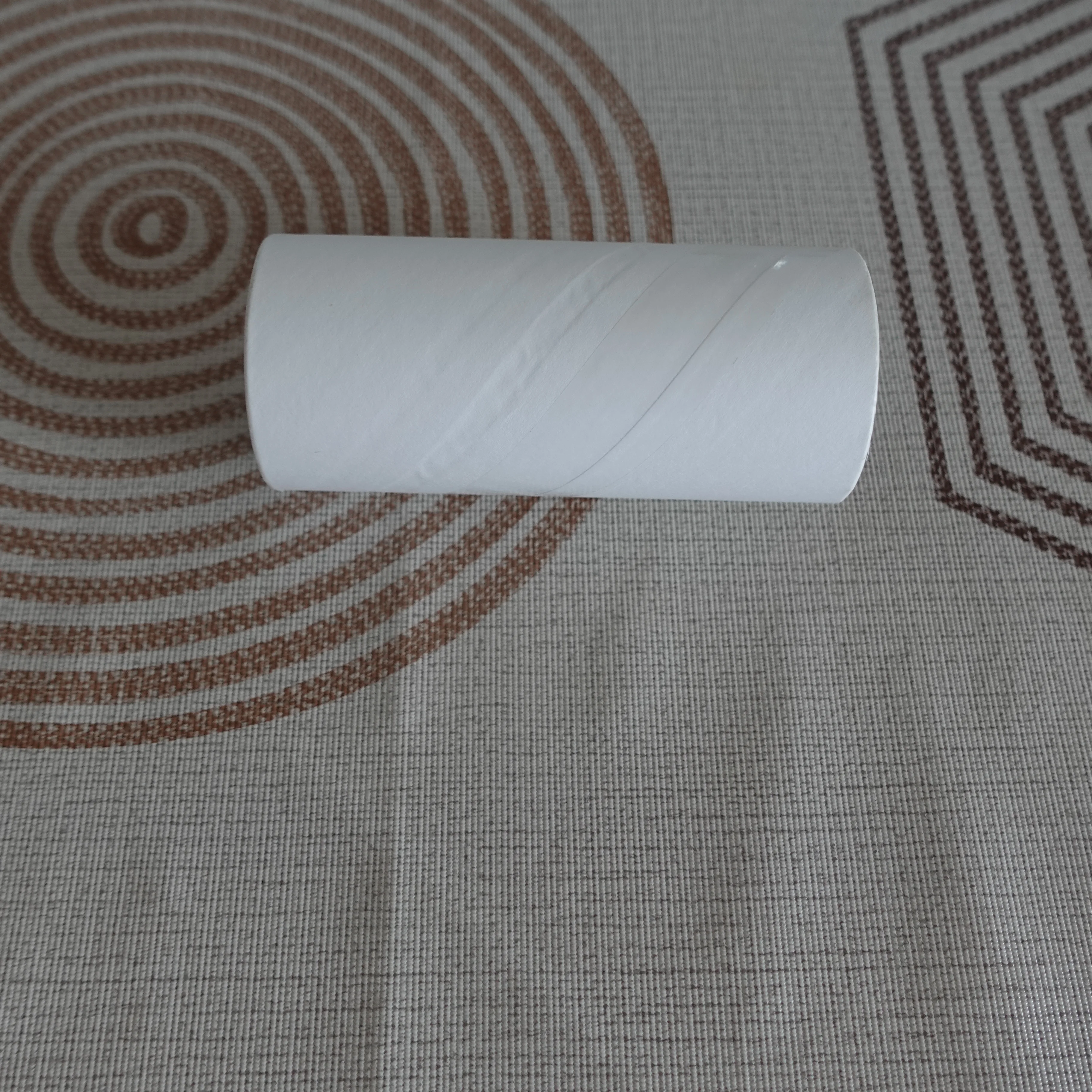 Home Use Long Handle Cleaning Floor Remover Pets Hair Paper Sticky Lint Roller