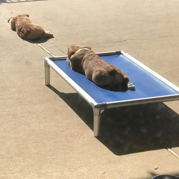 Camping Travel Summer Cooling Durable Aluminum Frame Dog Bed Breathable and Washable Fabric Nest Cooling Elevated Dogs Bed