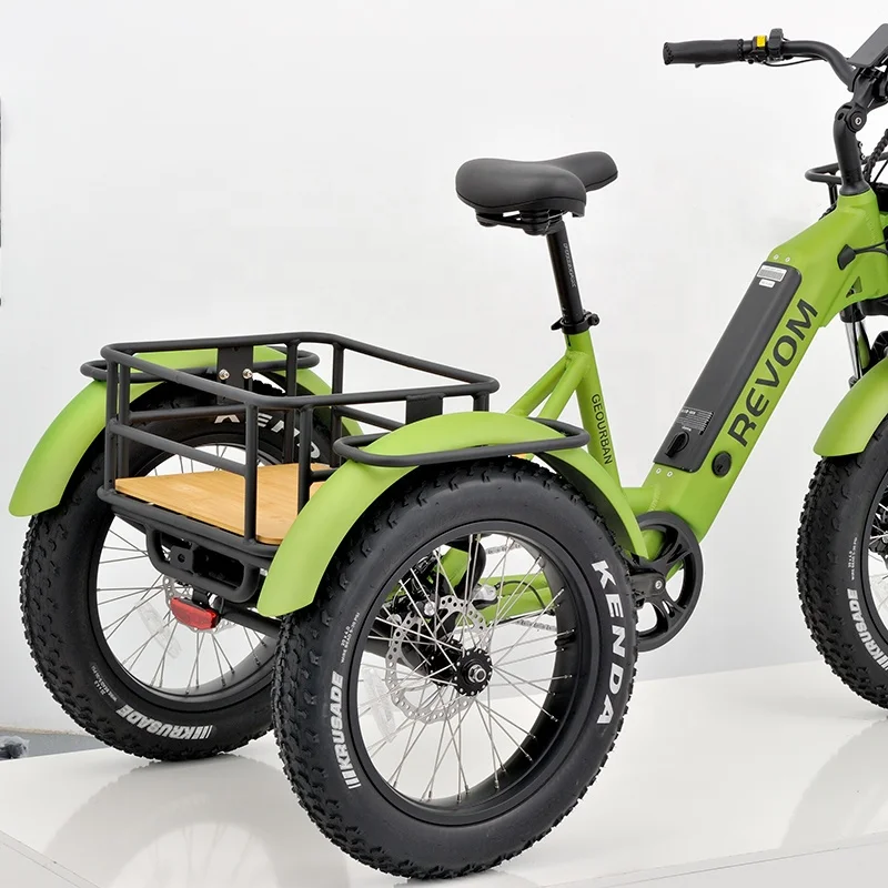 Geobyke Newest Electric Tricycles Cargo Electric Tricycle For Adult 48V 250W/500W