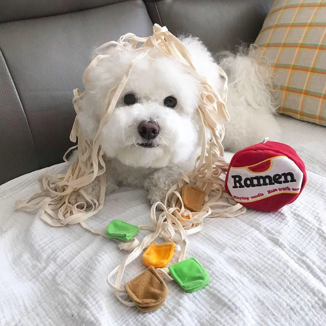 Ins Explosive Korean Ramen Design Sniffing Interactive Foreign Trade Pet Leaking Food Product Dog Sniffing Toys