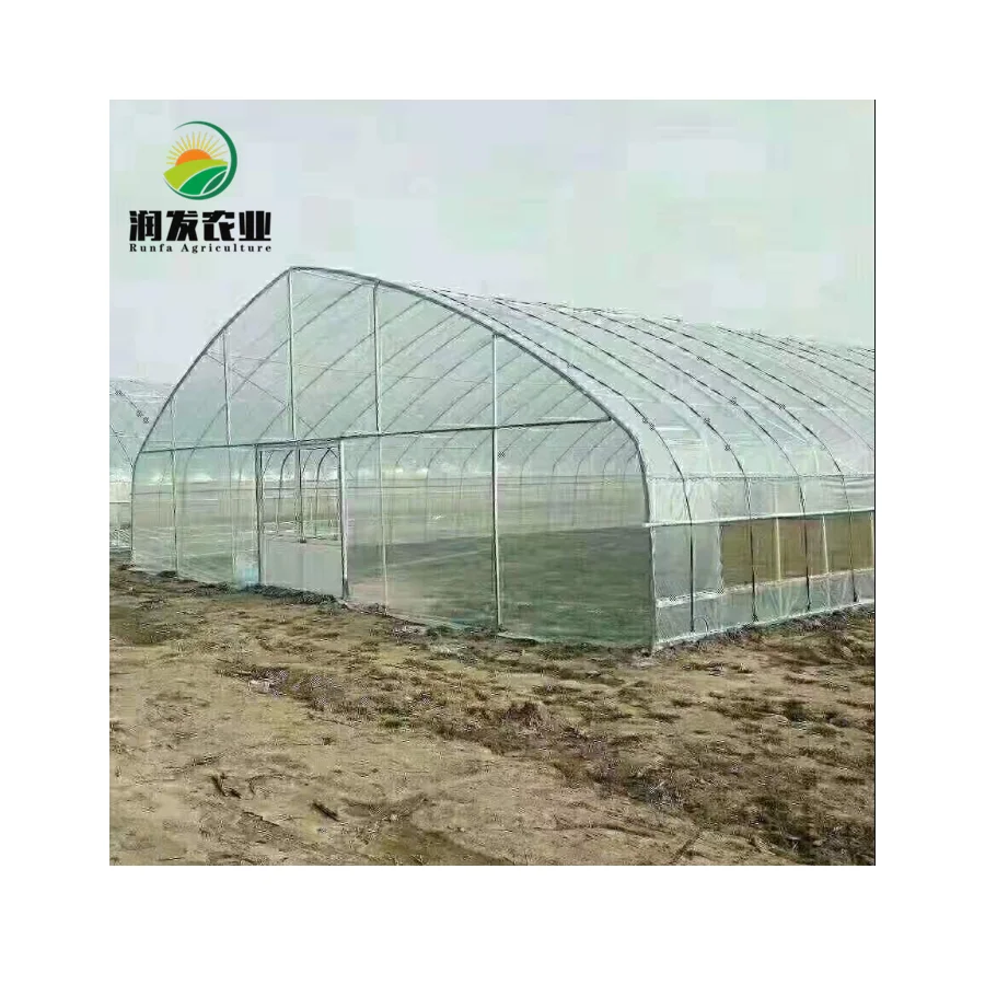 Agriculture Farming Singlespan Greenhouse Grow Tent Arch Shape High Tunnel Green House For Crops Planting/Nursery