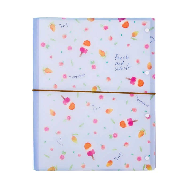 Hot sale new design refillable waterproof book cover PP display book A5 file folder clear book
