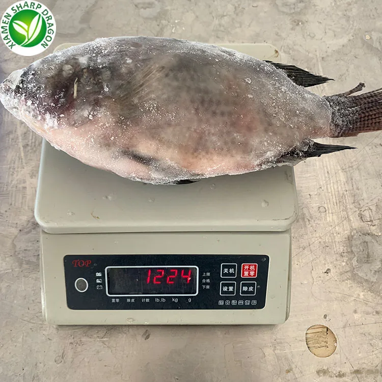 China Seafood Exporter Frozen Tilapia Fish Fillet