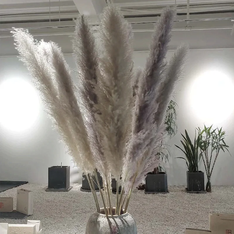 UO new arrivals natural artificial flowers large pampas gray pampas grass dried flower plume size 60cm boho decorative flowers