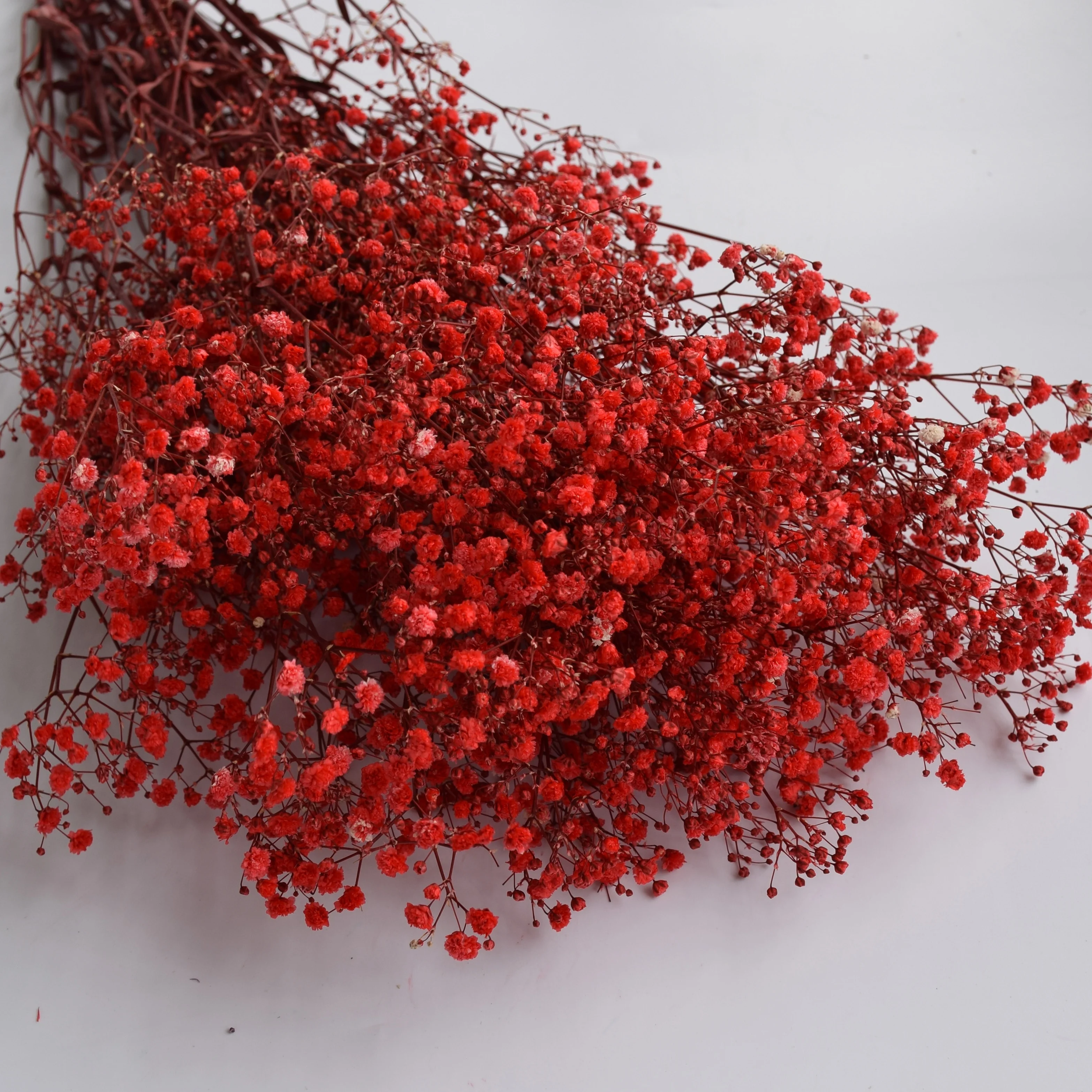 Cheap wholesale stabilized gypsophila preserved babysbreath star flower from China