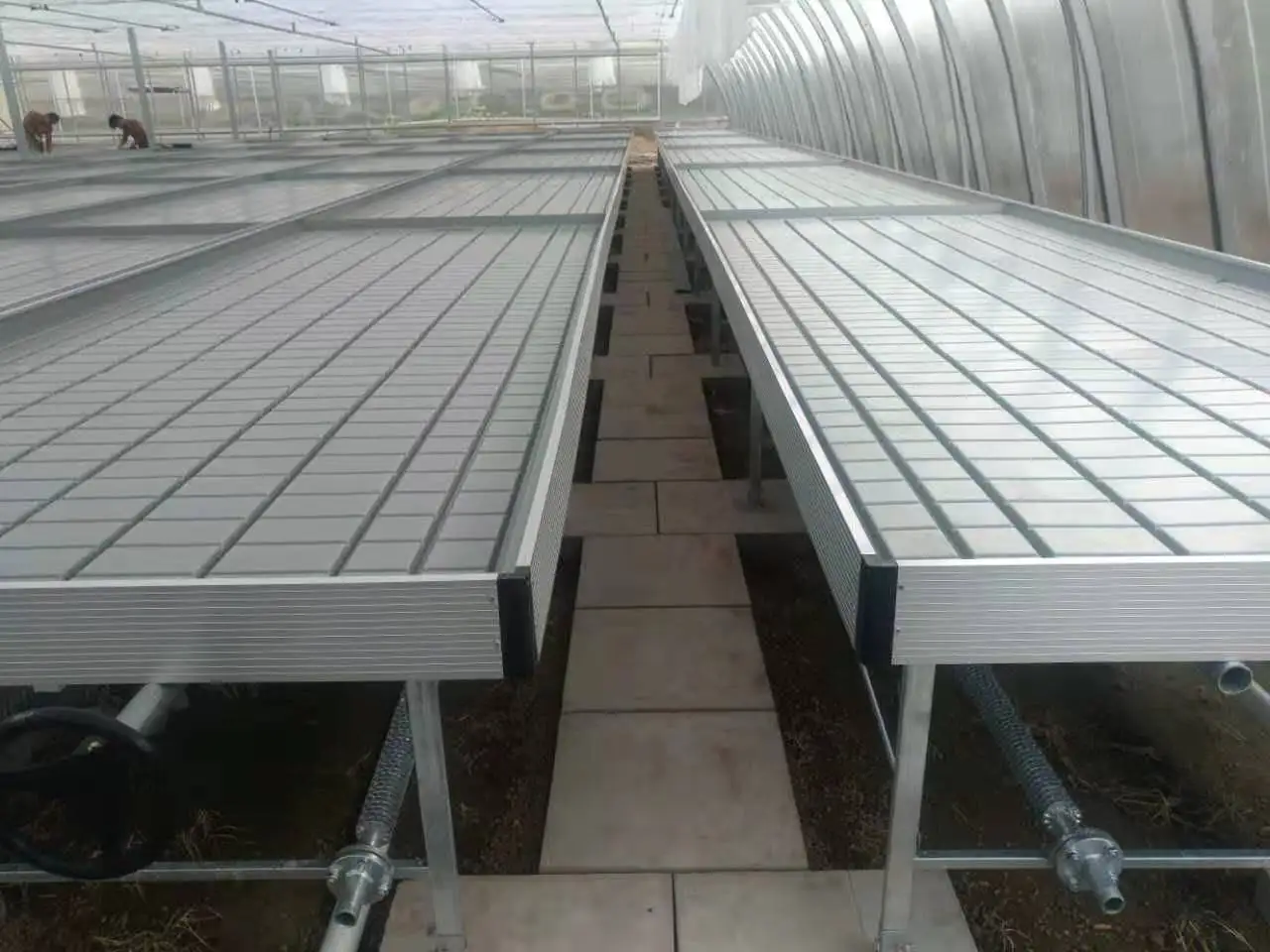 New Type Galalized Steel Pipe Hydroponic Ebb and Flow Rolling Bench Seedling Bed