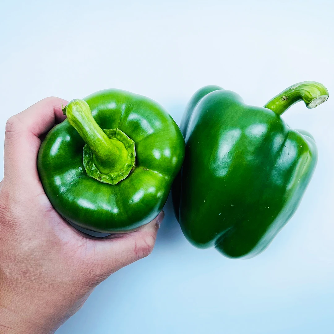Quality Grade 100% Fresh & Natural Color Fresh variety color Bell Pepper or Capsicum with red green yellow origin Vietnam
