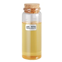 factory bulk natural plant extracted  catnip oil cat mint oil nepeta cataria hoja oil for weight loss