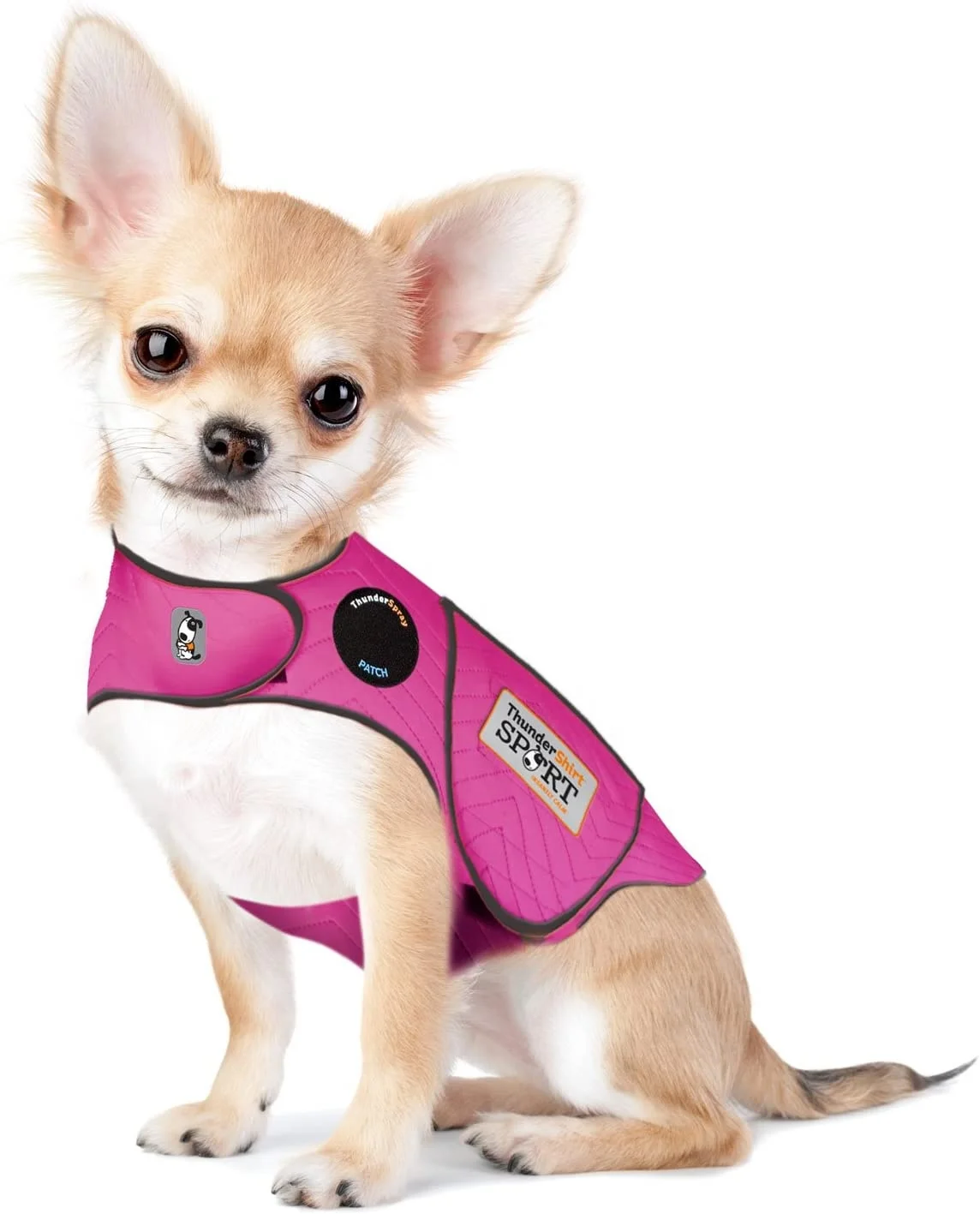  Спортивная куртка Thundershirt с изображением собаки и тревоги одежда надписью Keep Calm мягкие рубашки из высококачественной ткани грозы для домашних животных снятие стресса огня