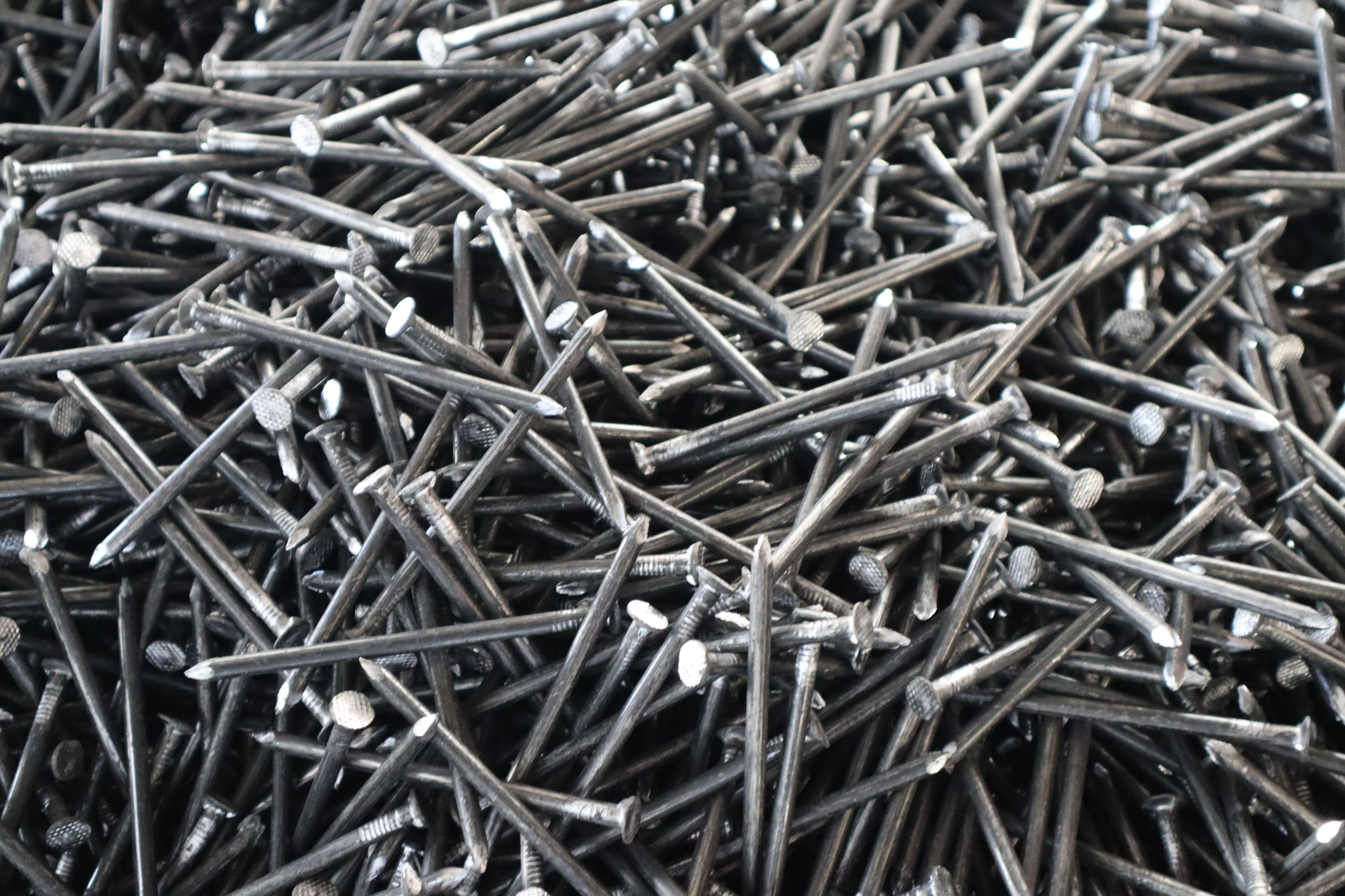 Common Nail/ Common Wire Nail / Wholesales Factory 1 kg per box 25kgs per carton iron nails