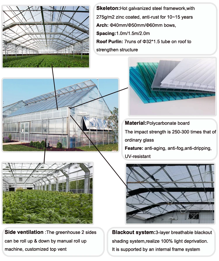 PC sheet greenhouse 1