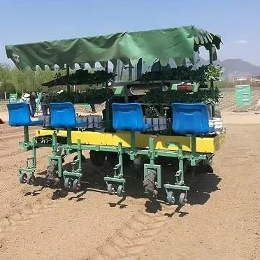 
production 12 row automatic onion transplanting machine onion cauliflower planting machine sell peony transplanting equipment 