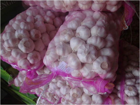 Чистый белый свежий чеснок китайский чеснок