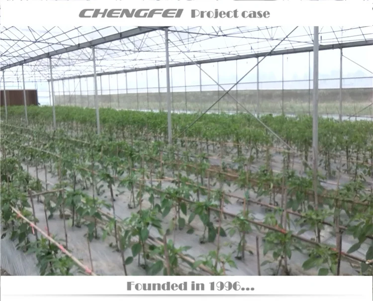 Commercial agricultural muti-span plastic film buy vegetable tomato greenhouses supplier